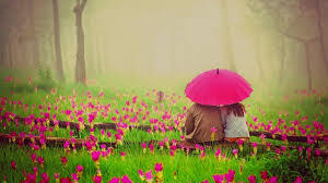 L’amour : un jardin